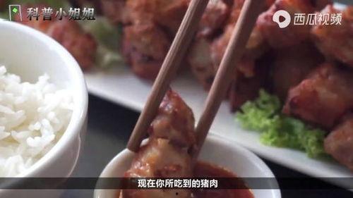 国产猪肉最新信息新闻视频