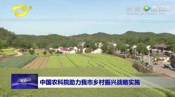 国产在线乡村视频,国产在线乡村视频带你领略田园魅力